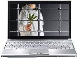 Онлайн-продавец наркотиков арестован