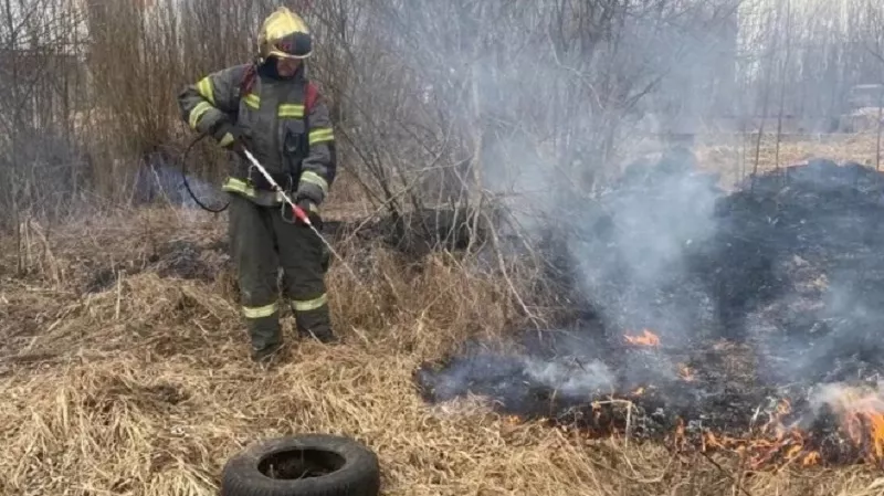 В Ленинградской области зафиксирован рост случаев пала сухой травы: с начала марта ликвидировано свыше 60 возгораний
