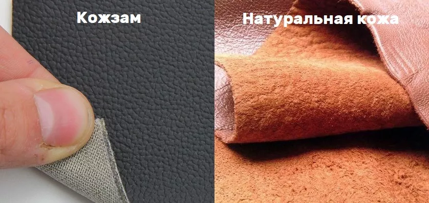 Кожа и кожзам: что выбрать?