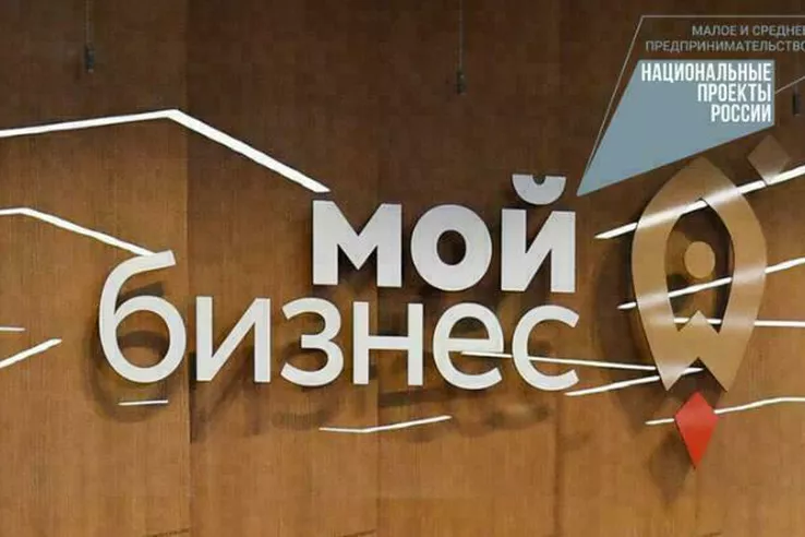Каждый 4-й субъект МСП в Ленобласти &ndash; получатель поддержки муниципальных фондов