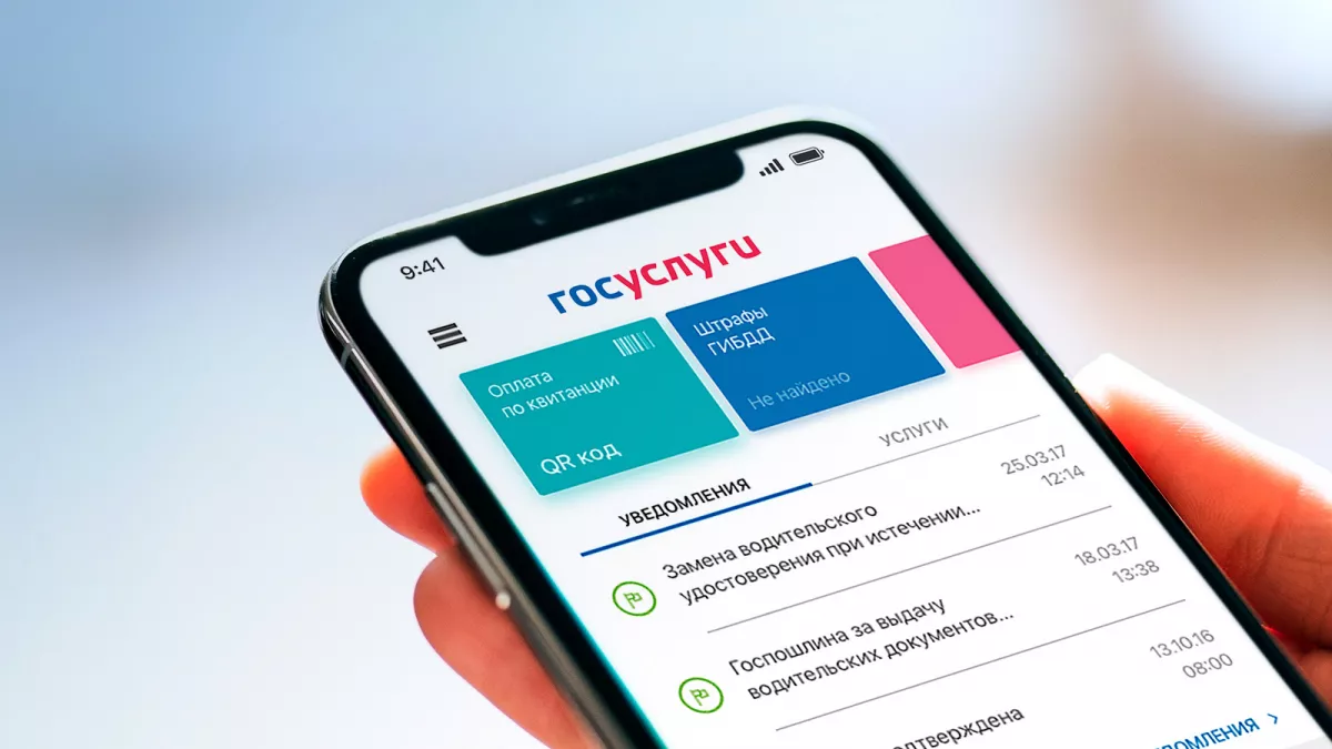ПЕРЕПИСЬ НА ГОСУСЛУГАХ ПРОДЛИТСЯ ДО 14 НОЯБРЯ