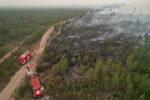 Стали известны наказания за разведение огня в лесу