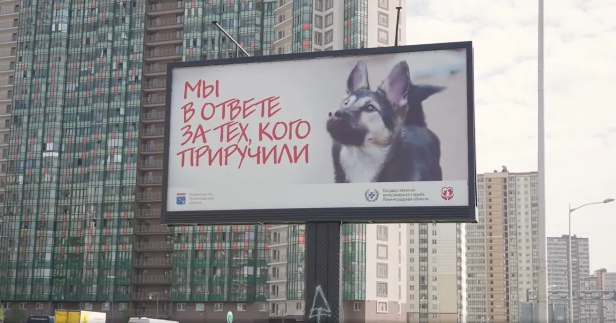Чтобы все были дома. Мурки и Барбосы &mdash; тоже