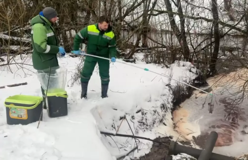 В реке Нейма в Ленинградской области выявили превышение токсинов в тысячу раз
