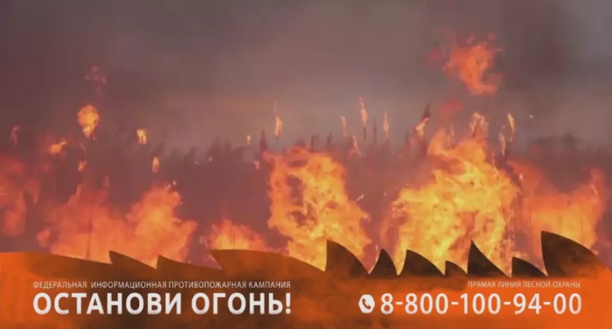 Берегите лес от огня!