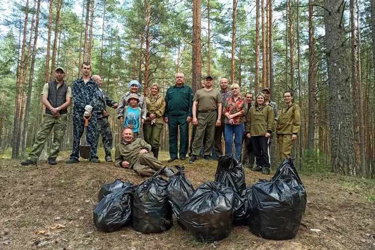 Жители Ленобласти очищают леса от мусора