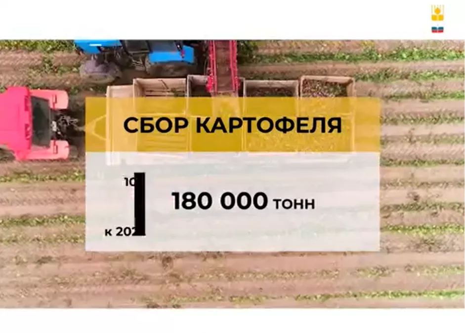 Итоги работы АПК и рыбохозяйственного комплекса Ленинградской области в 2022 году