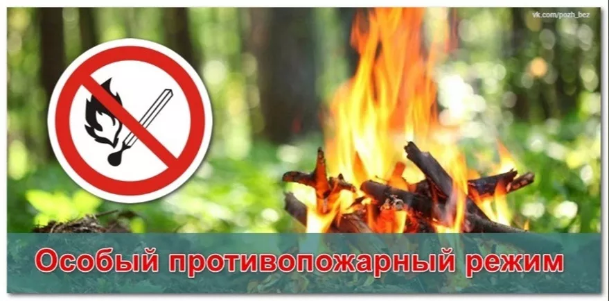 В Ленобласти &ndash; особый противопожарный режим