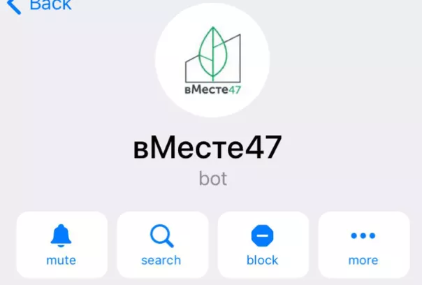 Нацпроекты: Ленобласть запустила чат-бот по благоустройству