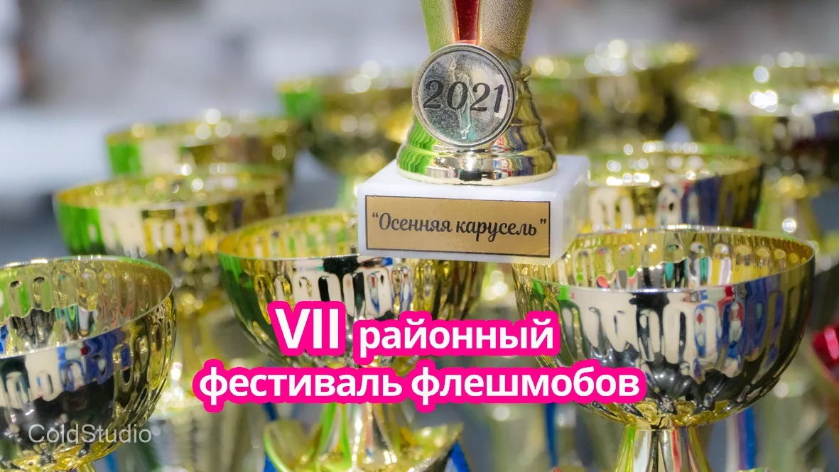 Фестиваль-конкурс флешмобов &laquo;Осенняя карусель&raquo; прошел в Кикерино