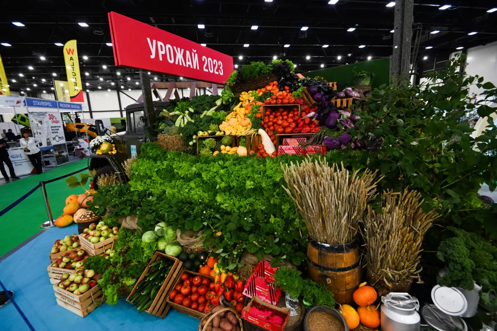 Молочные реки, рыбные берега