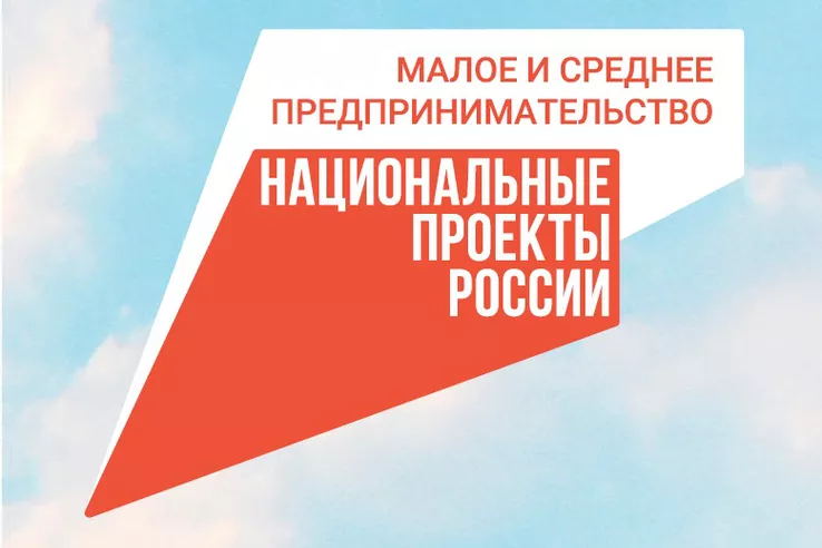 НАЦПРОЕКТЫ: субсидии малому бизнесу &ndash; прямая поддержка региона