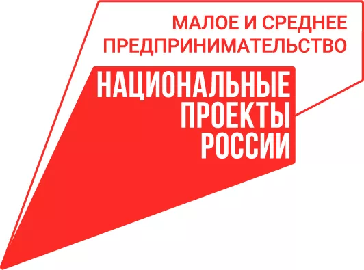 НАЦПРОЕКТЫ: ПОДДЕРЖКА СОЦИАЛЬНОГО БИЗНЕСА