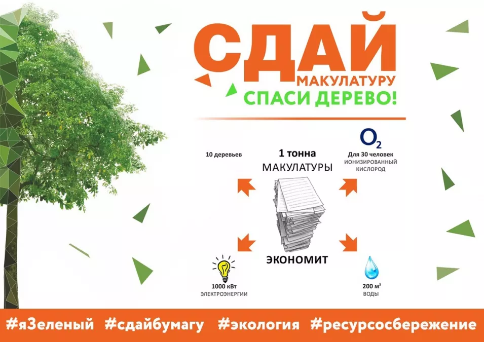 В Волосовском районе школьники собрали более 7 тонн макулатуры