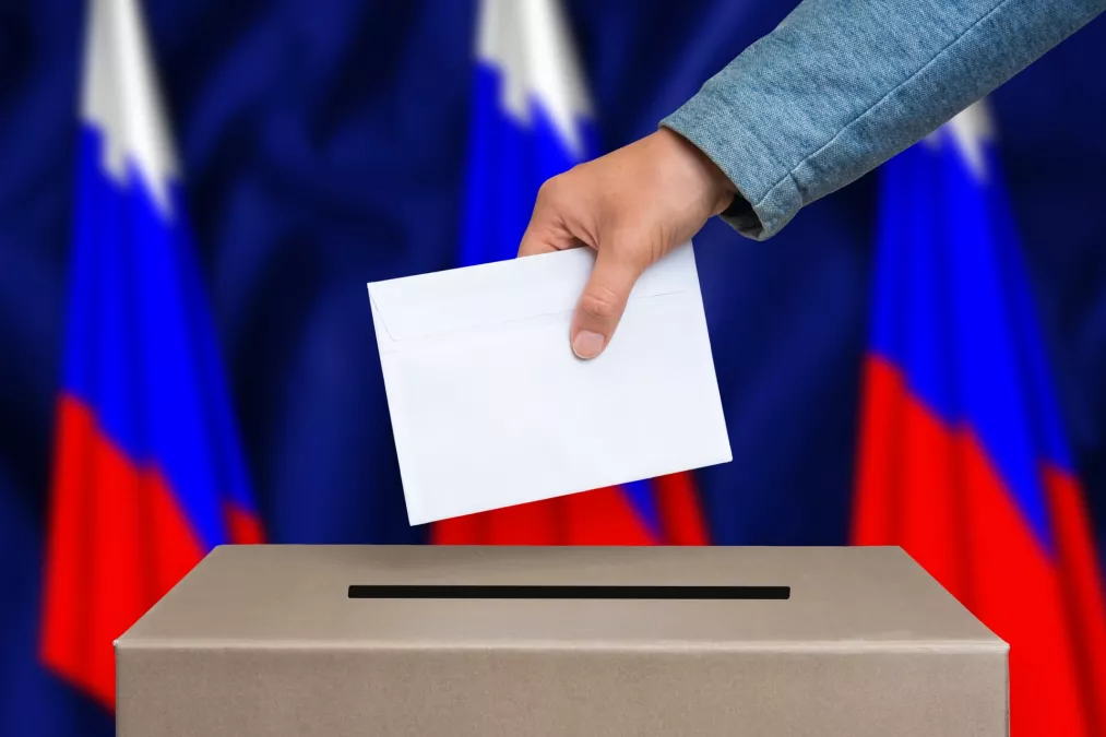 30 мая - предварительное голосование