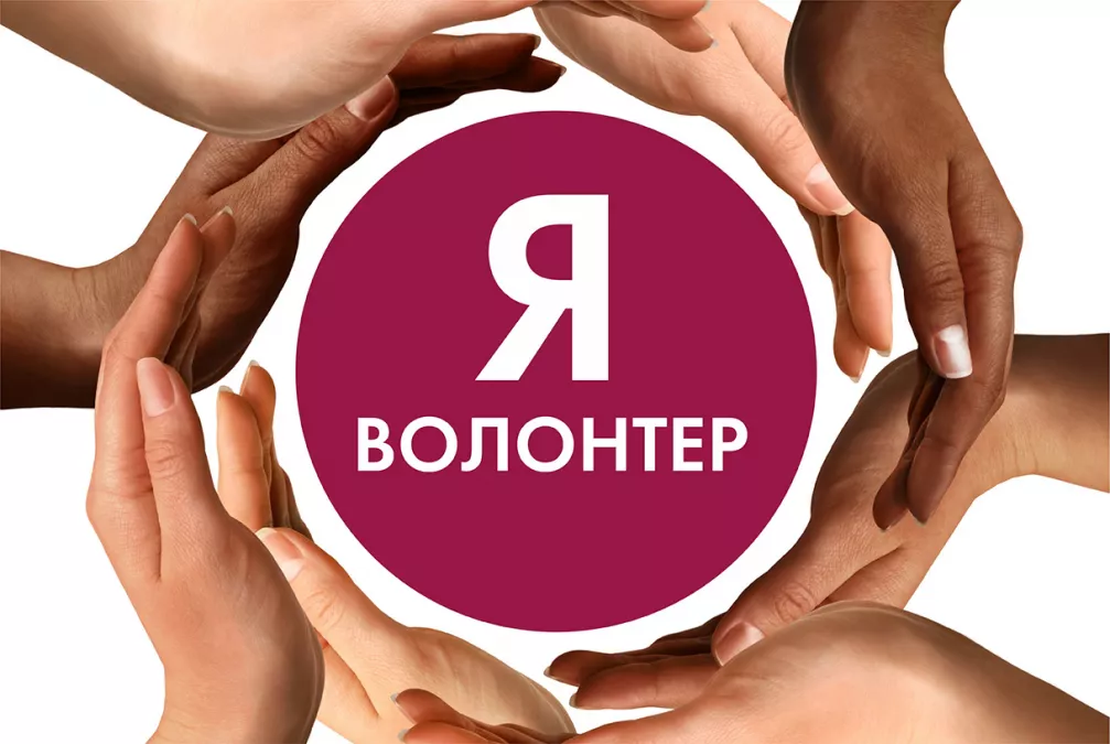 &laquo;Единая Россия&raquo; предложила учитывать волонтерство в качестве первого опыта работы
