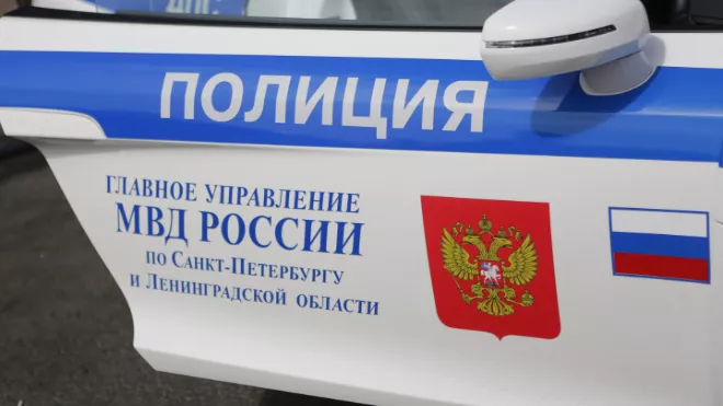 Расследование кражи мобильного телефона в поселке Беседа привело полицейских к похитителю человека