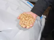 ПОГОДА НЫНЧЕ НЕ СОЮЗНИК...