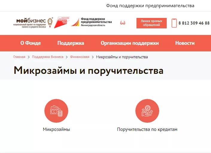 Государственные микрозаймы: получить просто, использовать - выгодно
