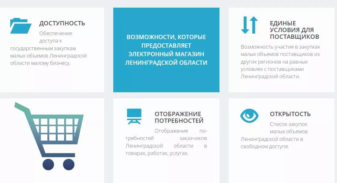 Электронный магазин помогает бизнесу продавать