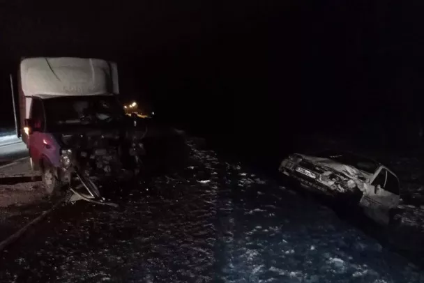 Грузовик и легковушка попали в аварию на федеральной трассе в Волосовском районе
