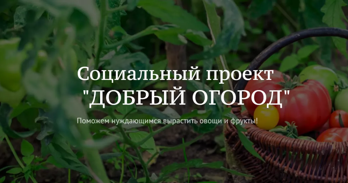 #Добрый огород: сезон открыт