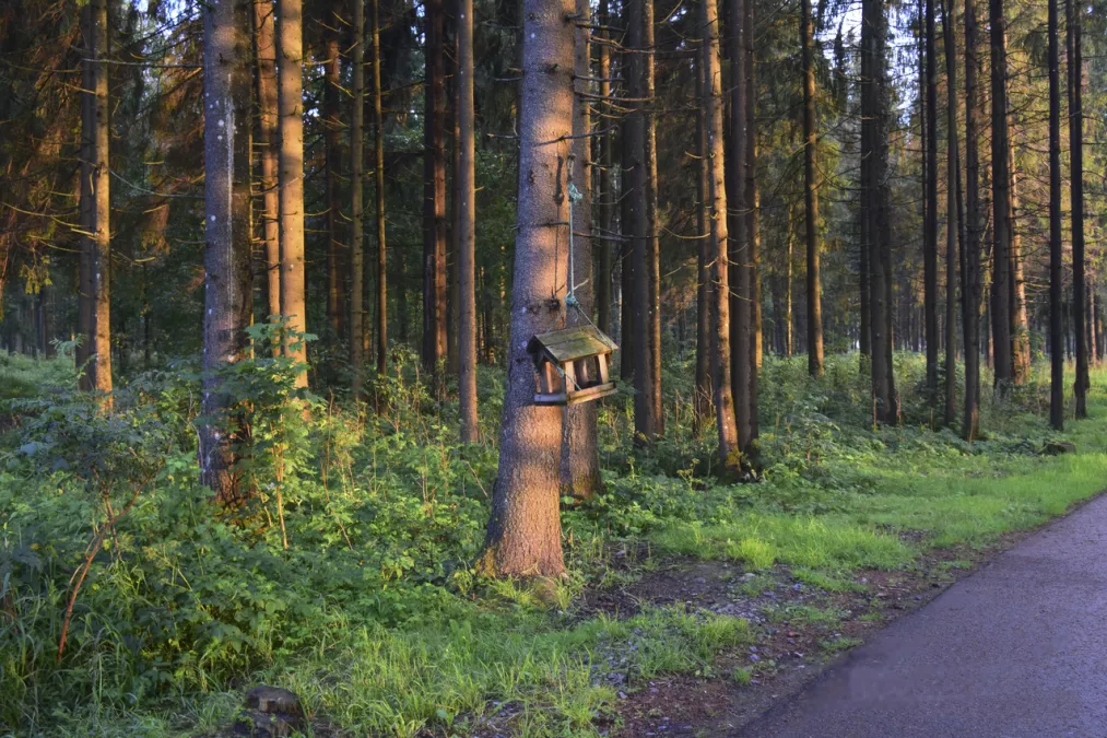Проголосовать несложно!