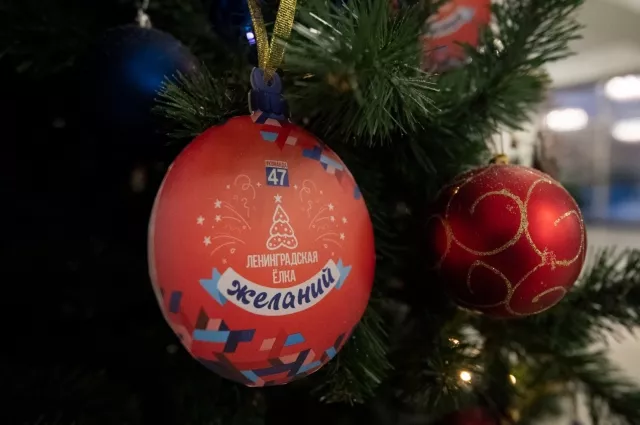&laquo;Ёлка желаний&raquo; шагает по стране и Ленобласти