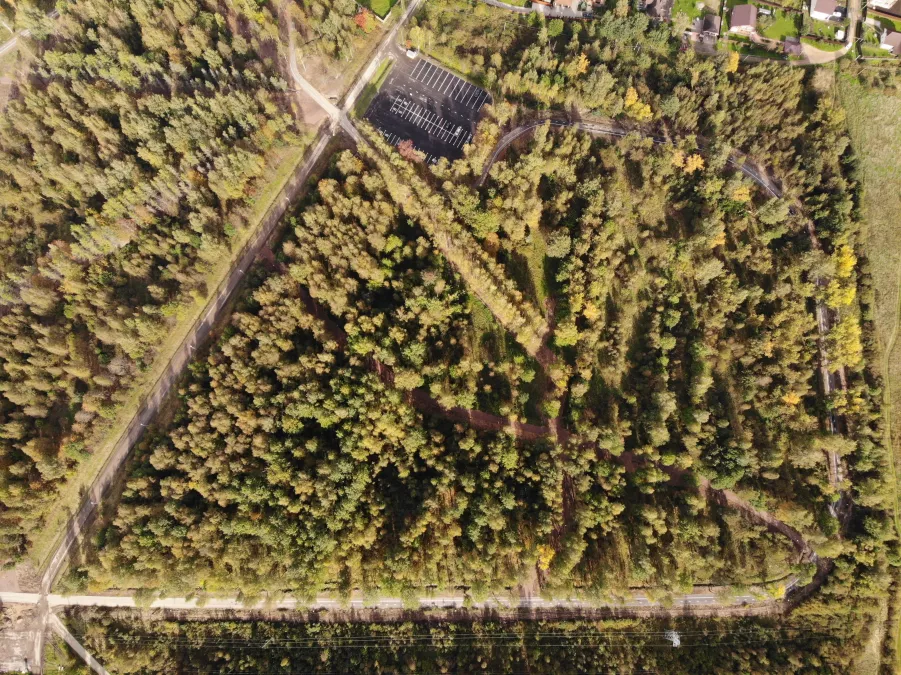 День здоровья в обновлённом парке г. Тосно