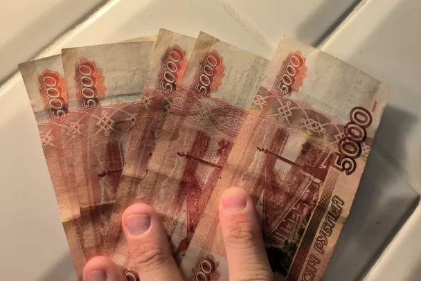 Жителя Волосовского района осудили за попытку подкупа ради возврата телефона