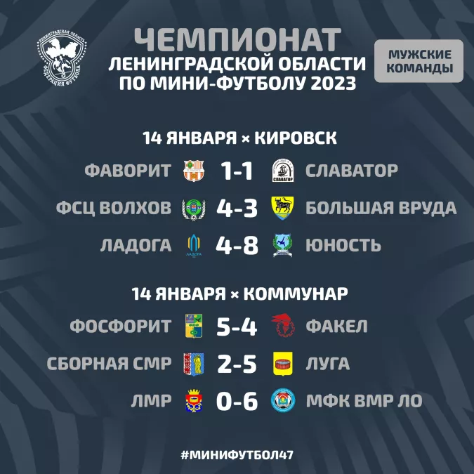Чемпионат Ленинградской области по мини-футболу среди мужских команд
