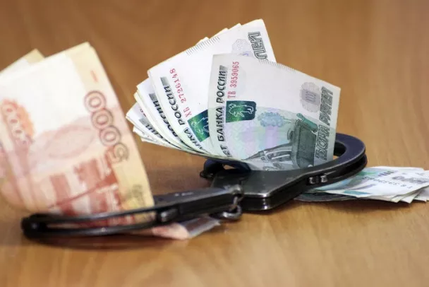 В Кингисеппе иностранец будет судим за попытку подкупа полицейского суммой в 20 тысяч рублей