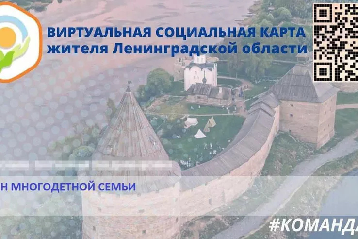 Виртуальная социальная карта &mdash; жителям Ленобласти