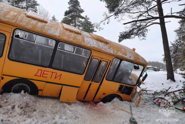 Экскурсионный автобус с детьми оказался в кювете на трассе &laquo;Псков&raquo;, пострадали 17 человек