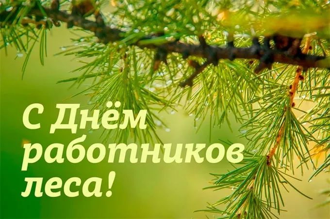 Сегодня - День работников леса
