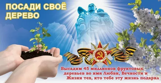 Жителей Ленинградской области приглашают присоединиться к Всероссийской акции &laquo;Во имя любви, вечности и жизни&raquo;