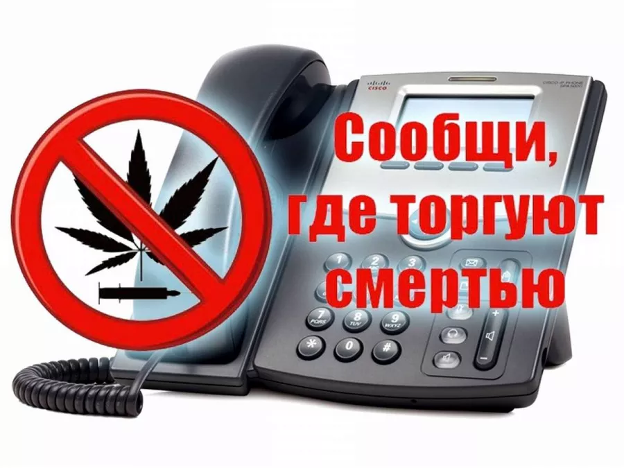 В Ленинградской области работает антинаркотическая &laquo;горячая линия&raquo; МВД