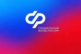 Более 800 жителей СПб и ЛО получают дополнительное материальное обеспечение за выдающиеся достижения и особые заслуги