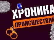 ИЗ  ХРОНИКИ  ПРОИСШЕСТВИЙ