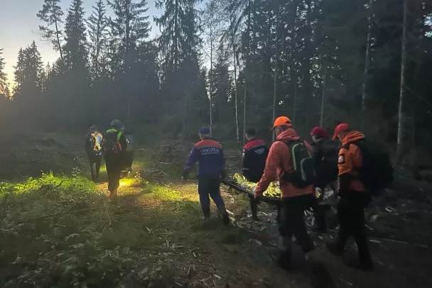 Под Приозерском в лесу нашли живой пожилую женщину спустя неделю поисков