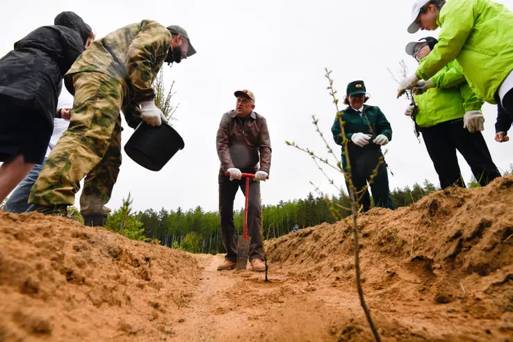 Большая посадка леса &mdash; Невскому экологическому конгрессу