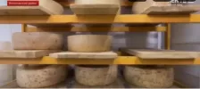 День сыра
