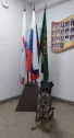 Проверено Тишкой