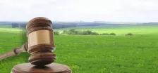 право на заключения договоров аренды земельных участков