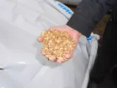 ПОГОДА НЫНЧЕ НЕ СОЮЗНИК...