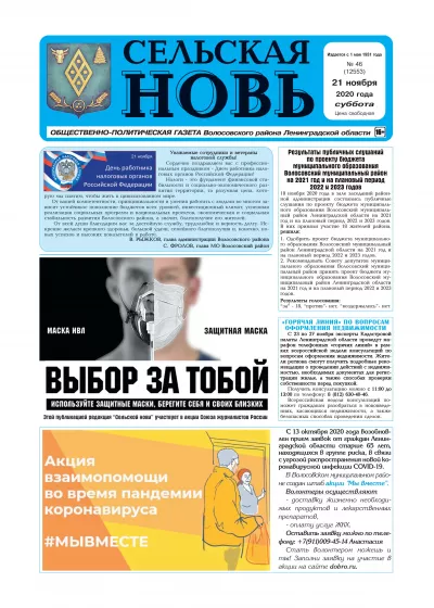 Сельская новь (21 ноября 2020 года) 46 (12553)