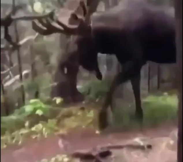 Вот это встреча!