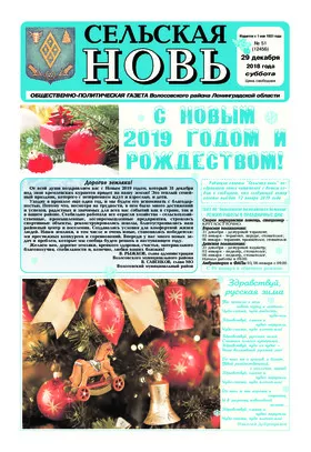 Сельская новь (29 декабря 2018 года) 51 (12456)