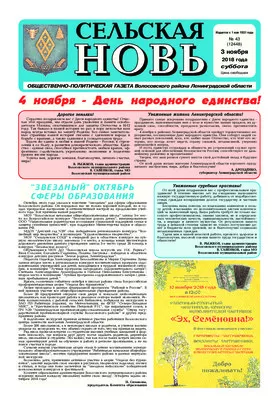 Сельская новь (3 ноября 2018 года) 43 (12448)