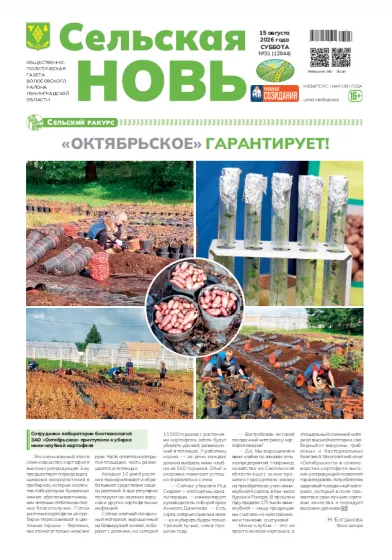 Сельская новь (15 августа 2026 года) 31 (12844)